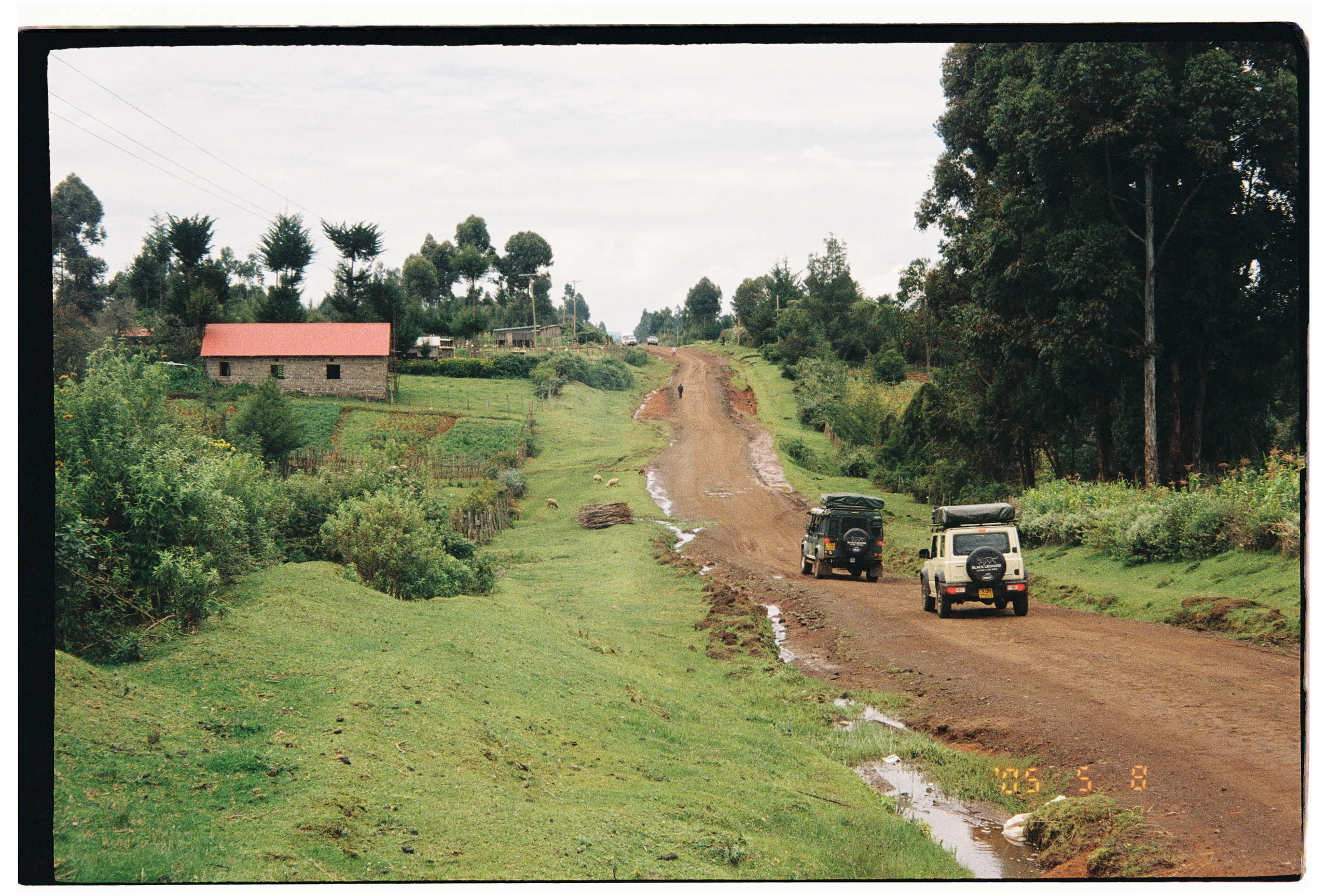 Black Leopard Safaris, frame 2