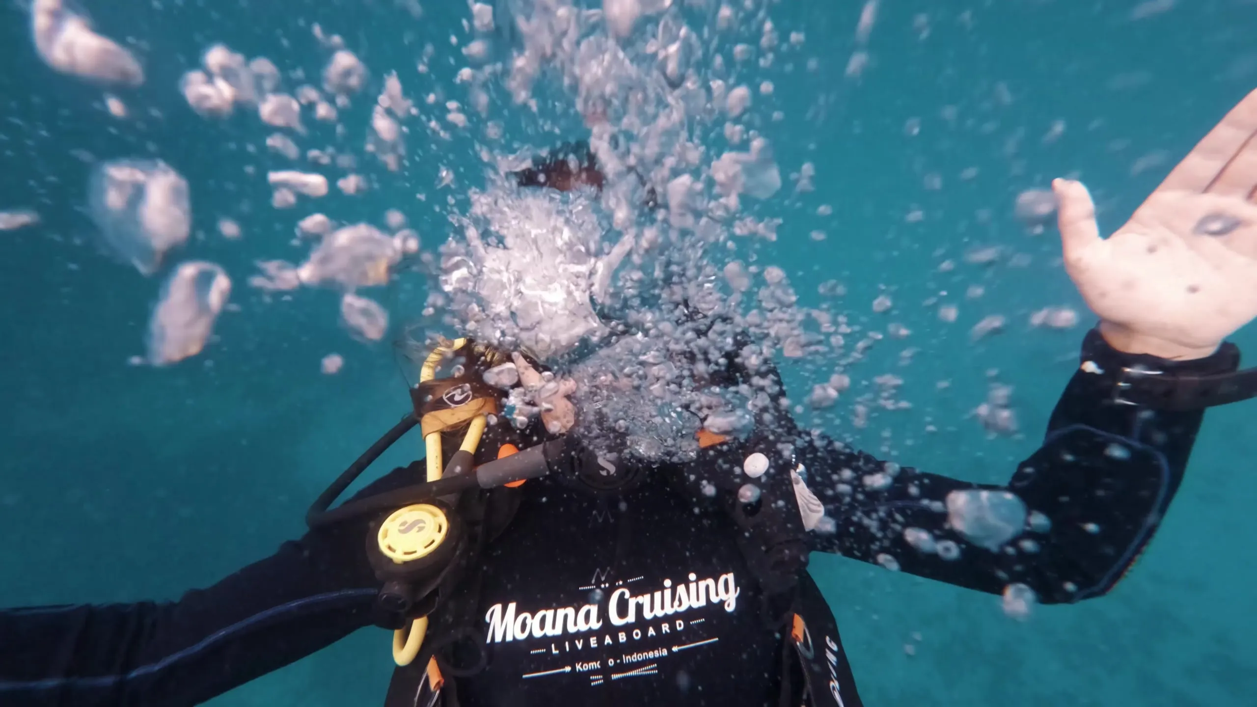 Moana Cruises, Komodo, frame 3