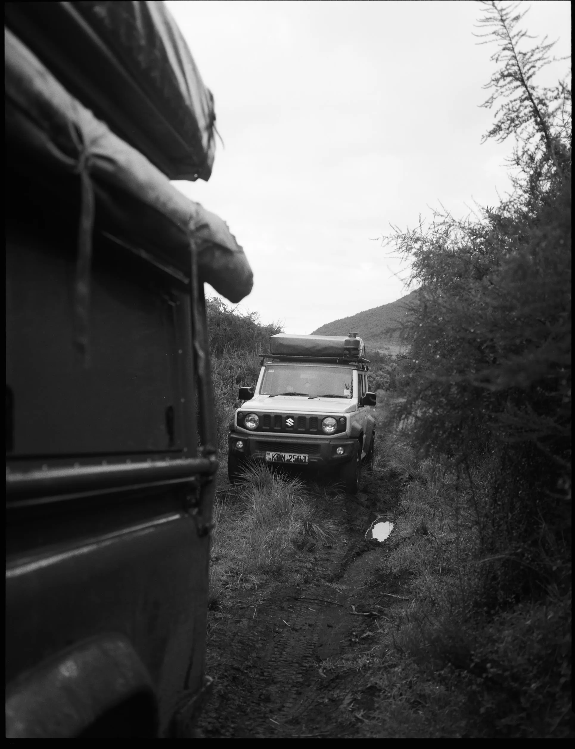 Black Leopard Safaris, frame 5