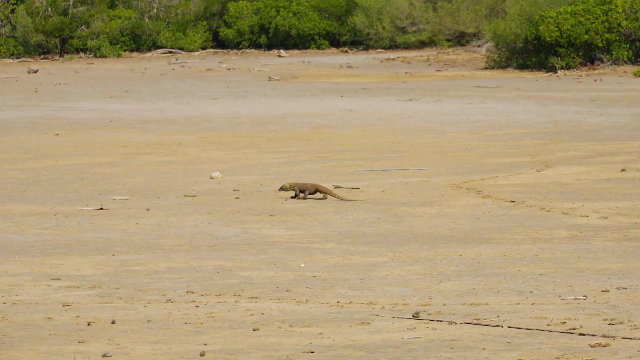Moana Cruises, Komodo, frame 6