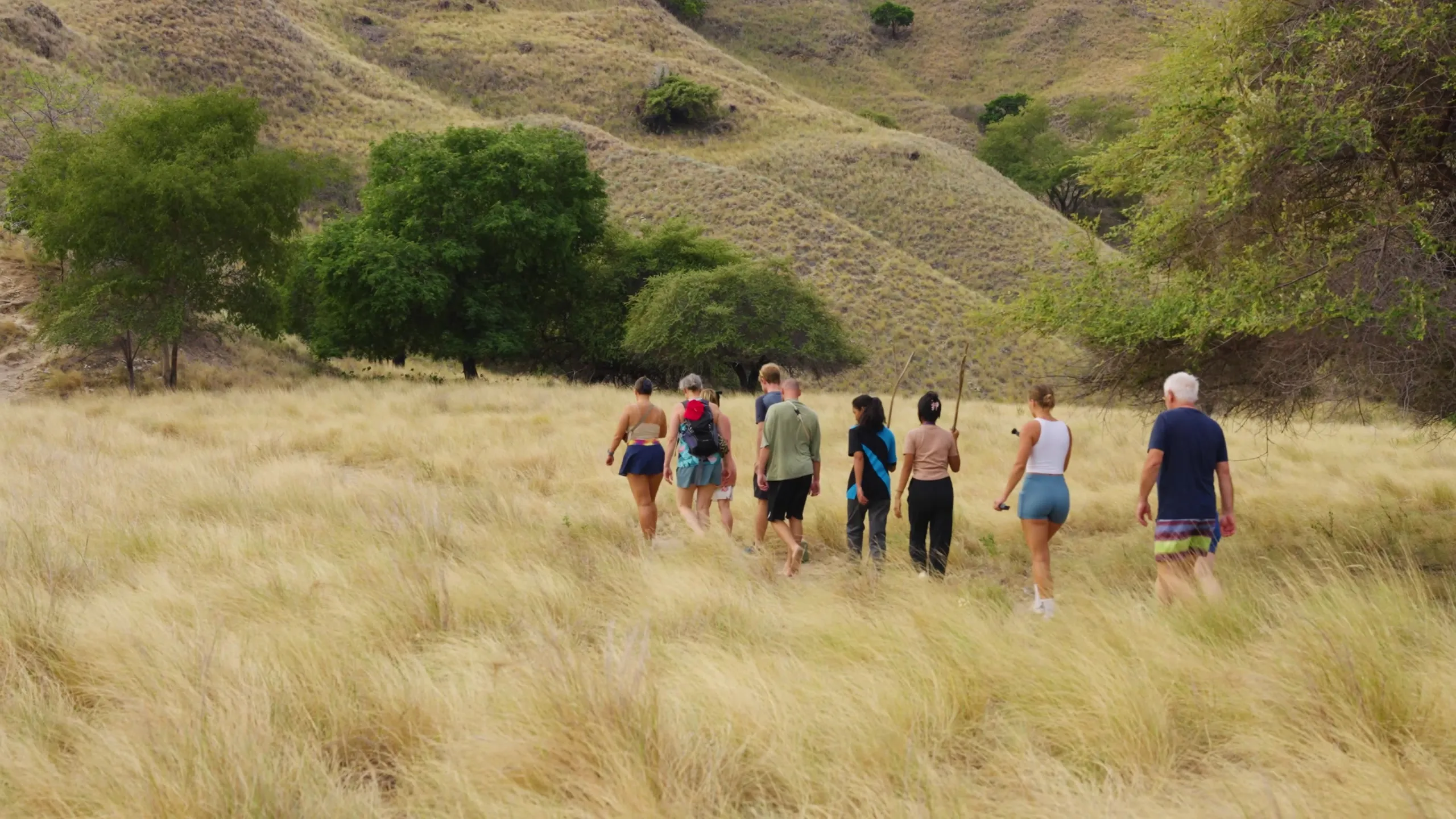 Moana Cruises, Komodo, frame 7